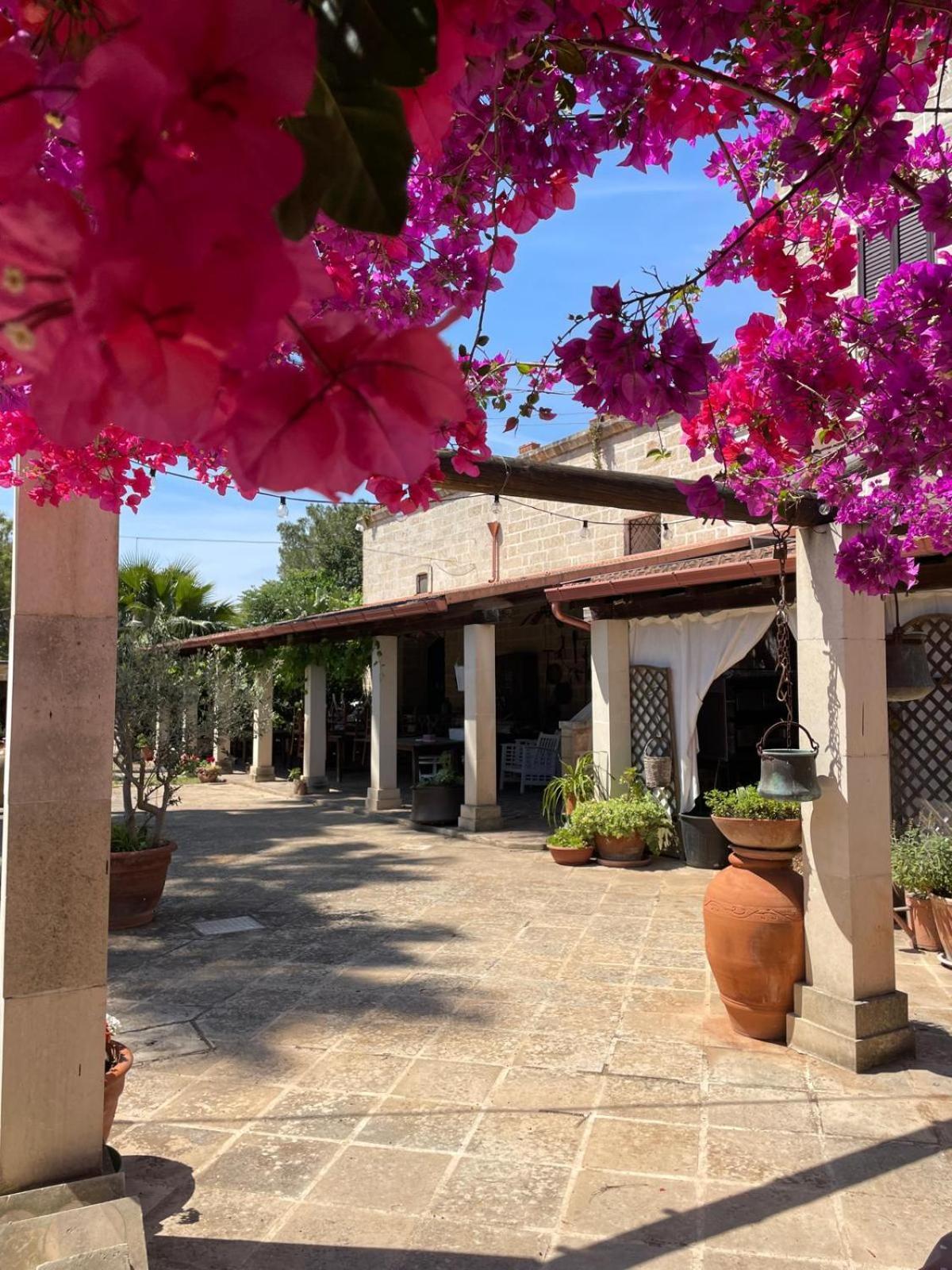 Masseria Scianne سانت إيزيدورو المظهر الخارجي الصورة